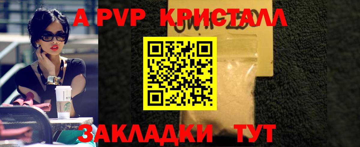 А ПВП крисы CK Грозный