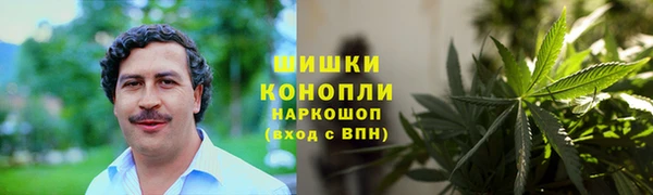 индика Лиски