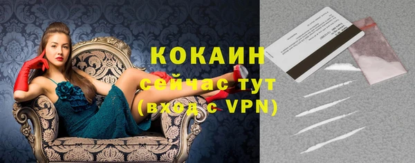индика Лиски