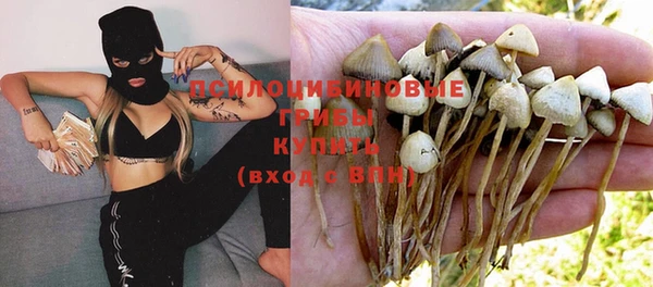 индика Лиски