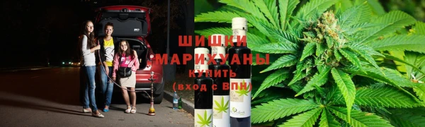 индика Лиски
