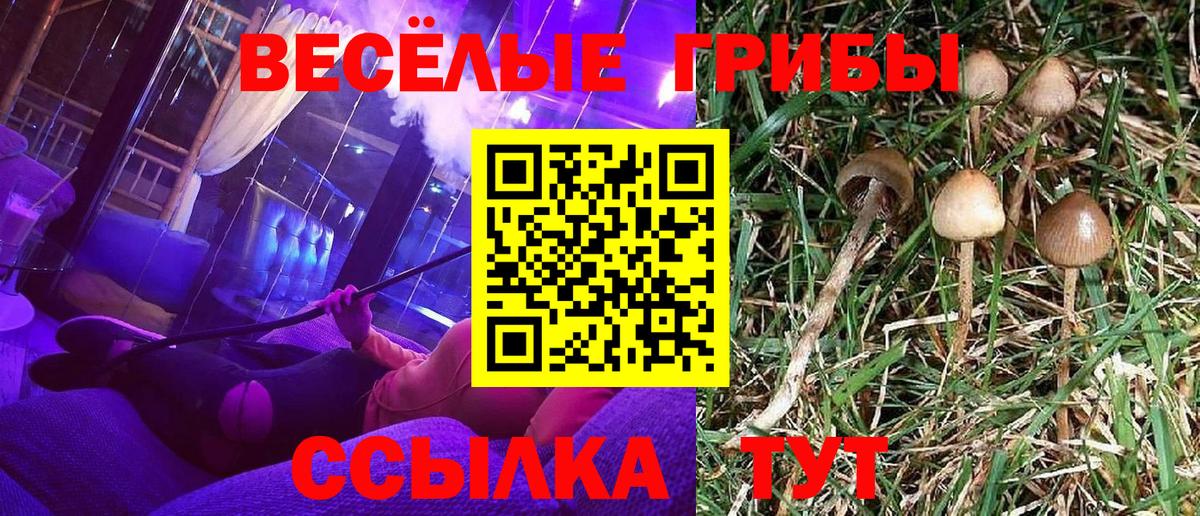 Галлюциногенные грибы ЛСД Грозный