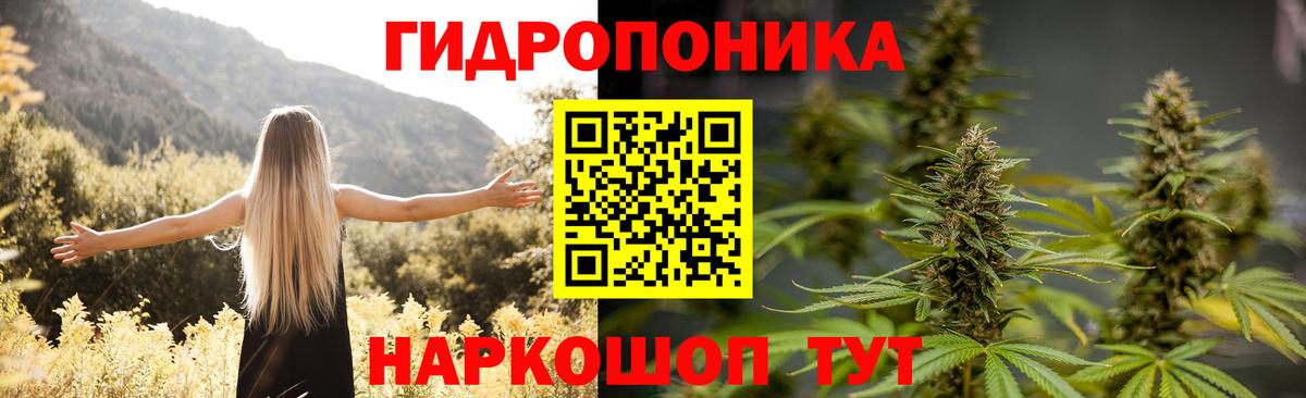 Бошки Шишки планчик  МАРИХУАНА марихуана  Шишки марихуана план  Бошки марихуана тримм  Грозный  Вход с VPN 